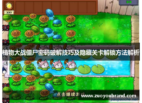 植物大战僵尸密码破解技巧及隐藏关卡解锁方法解析 植物大战僵尸密码破解技巧及隐藏关卡解锁方法解析