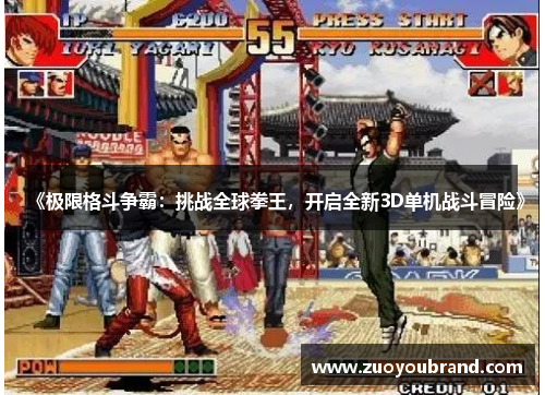 《极限格斗争霸:挑战全球拳王,开启全新3D单机战斗冒险》 《极限格斗争霸:挑战全球拳王,开启全新3D单机战斗冒险》